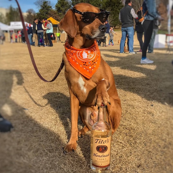 #BottomsUp: Tito's Vodka Pairs Up With Emancipet To Help Save Dogs - Coligo